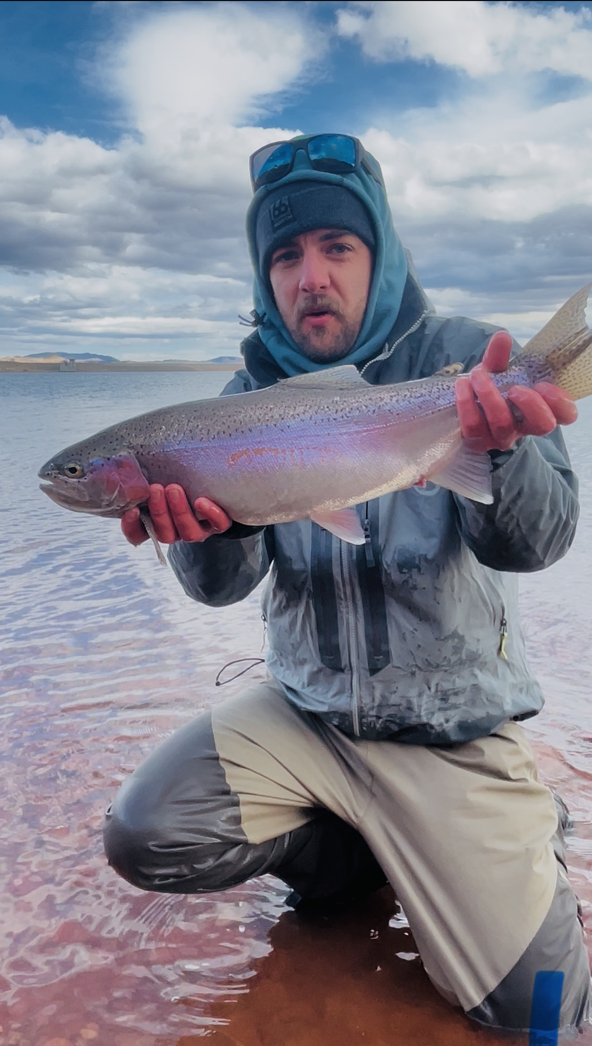 Matthew Presti (portrait - add your photo)