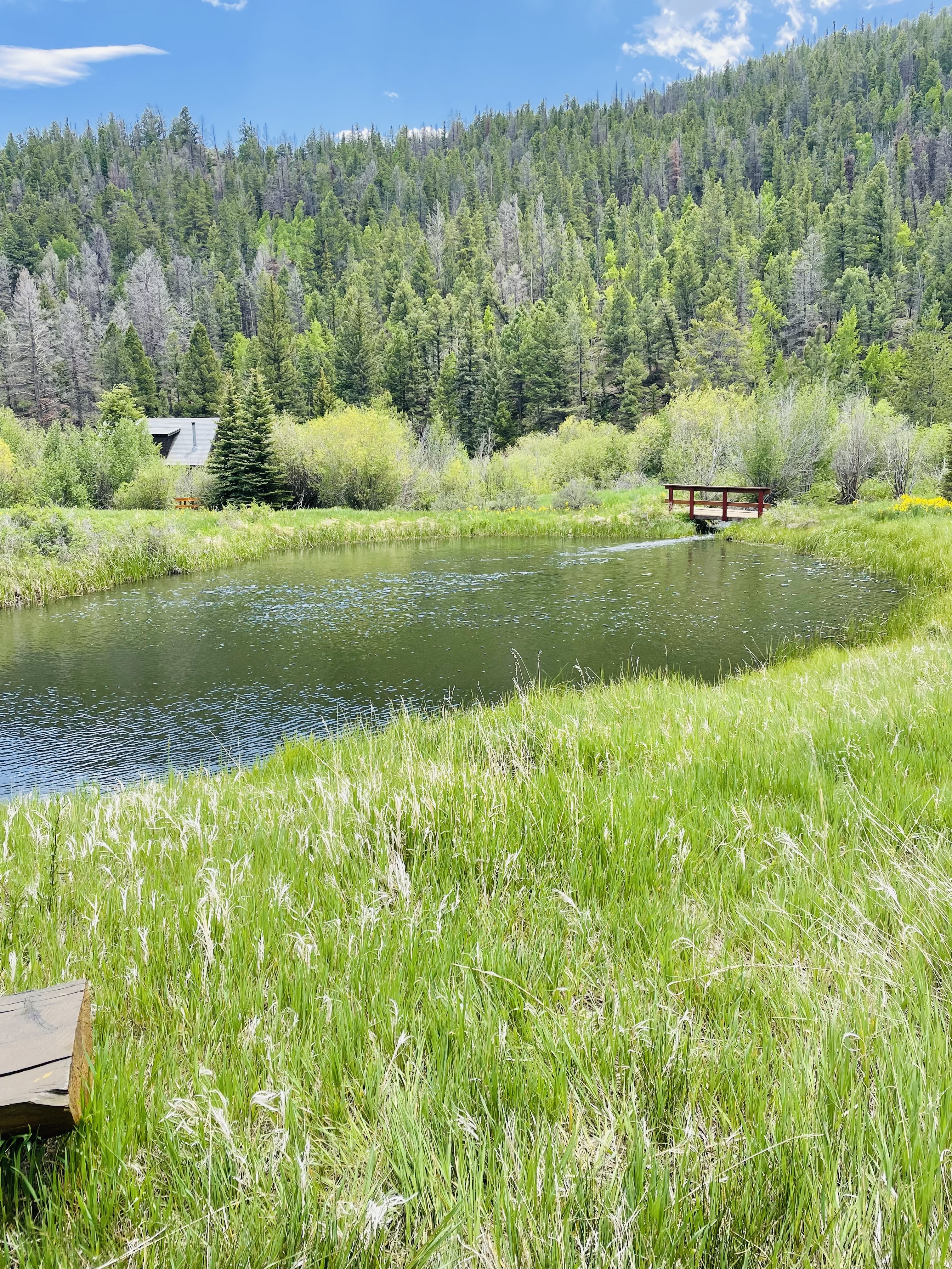 Silver Creek Lakes Club (add your hero photo)