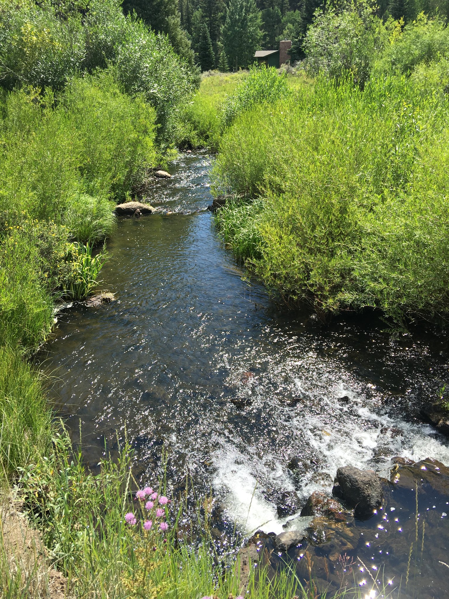 Connecting stream between lakes (add your photo)